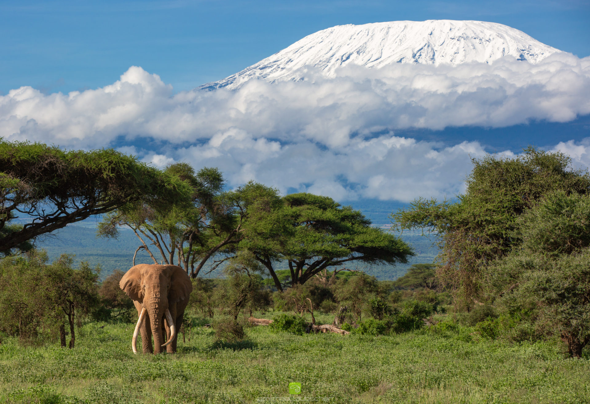 Kilimanjaro donde esta